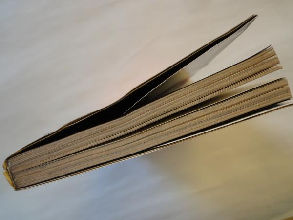 肌絵 日本の刺青(初代彫清 凡天太郎) / 古本、中古本、古書籍の