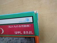 干潟の生きもの＜私たちの自然観察・シリーズ海＞