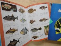 魚の観察＜旺文社図鑑＞