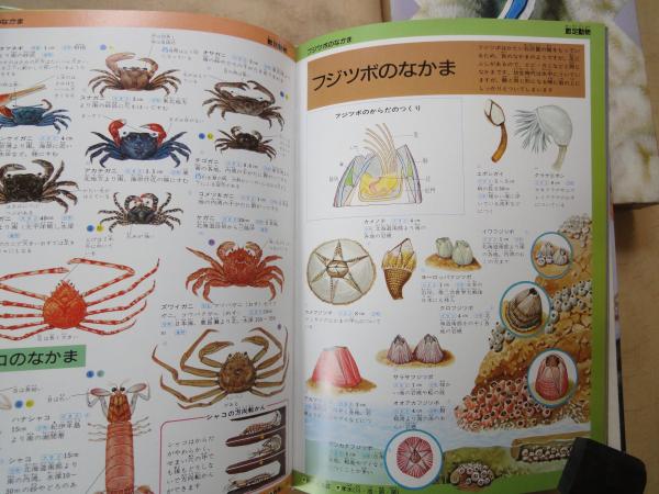 うなぎ・謎の生物 (水産総合研究センター叢書) | 太田 博巳