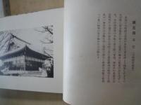 金龍彩鱗