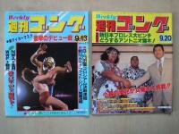 週刊ゴング（№11・13・14・15・16・17・18・19・20：9冊）1984年8月2日～10月4日