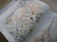 Erotic Art （１）　40COLOR PLATES  381BLACK AND WHITE PLATES：英文