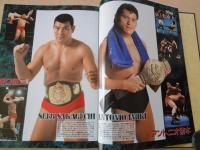 新日本プロレス２５年史 1972-1996（創立25周年記念愛蔵版）　