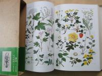 原色植物図鑑（日本百科大事典別冊）