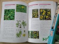 野草大百科