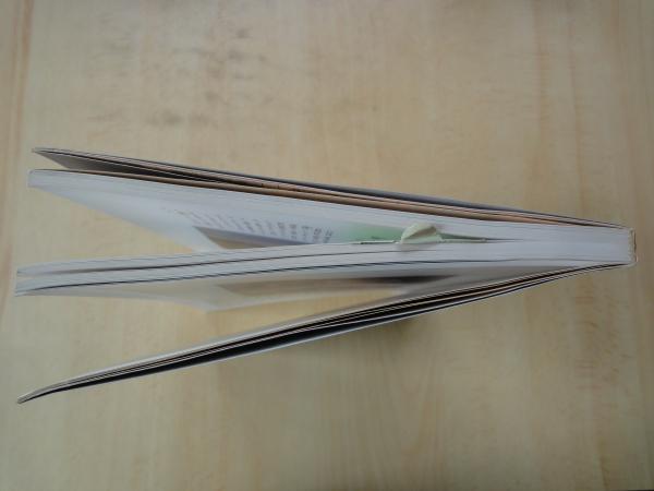 明治吉原細見記(斎藤真一) / 古本、中古本、古書籍の通販は