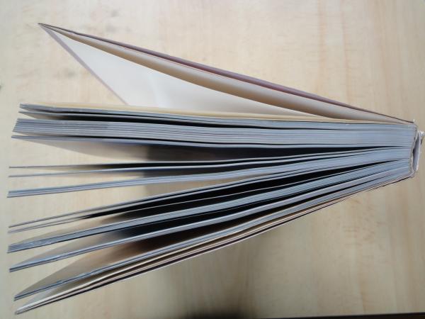 Gals Mate ギャルズ・メイト'81＜プレイボーイ特別編集＞(撮影：鶴田