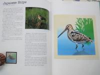 水辺の鳥＜切手アルバム＞