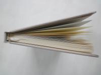 草加を吟じた俳人達 ＜埼東文化叢書 1＞