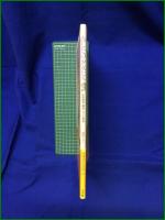 【あしたの少女たち~抒情作家、藤田ミラノの世界 藤田ミラノ】小学館