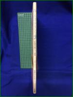 【あしたの少女たち~抒情作家、藤田ミラノの世界 藤田ミラノ】小学館