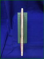 【夢みる昭和の乙女たち~抒情画家、藤井千秋の世界 藤井千秋】小学館