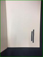 【針灸学原論 木下晴都】医道の日本社