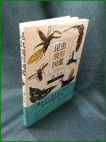 【昆虫飛形図鑑 ー昆虫食の先生、飛んでいる虫に魅せられて　三橋淳】八坂書房