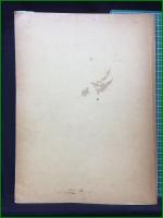 【BRAHMS 2 ブラームス集2 編集・校訂:井口基成】春秋社 世界音楽全集