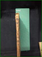 【趣味の仙人掌栽培 石井勇義】誠文堂