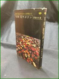 【写真・花サボテン 伊藤芳夫】池田書店