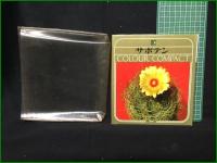 【サボテン】集英社 カラーコンパクト1007