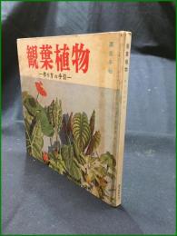 【観葉植物 ー作り方の手引ー  八丈島園芸農業協同組合・農耕と園芸編集部】誠文堂新光社