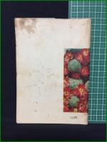 【サボテン入門 奥一】信州シャボテン専門家連盟