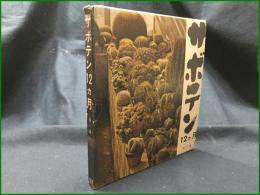 【サボテン 12ヵ月  奥一】誠文堂新光社