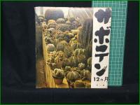 【サボテン 12ヵ月  奥一】誠文堂新光社