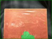 【最新園芸大辞典 　全7巻揃】誠文堂新光社