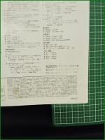 【チラシ】【プリンター Apple Computer】1996年 Apple Color LaserWriter 12/600 PS-J