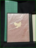 【決定版 天の夕顔  中河與一】明治書院