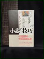 【小説の技巧 デイヴィッド・ロッジ/訳:柴田元幸, 斎藤兆史】白水社