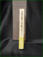 【世界の果てにつれてって！… B・サンドラール/訳:生田耕作】竹内書店