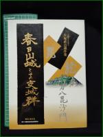 【図録】【上越マイスター 大塚直吉遺作集 春日山城とその支城群  解説:植木宏】大塚直吉遺作集出版委員会