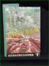【図録】【毛利元就入城五〇〇年記念企画展 毛利氏×郡山城 ~元就生涯の城~】安芸高田市民俗博物館