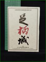 【足柄城 足柄城現況遺構調査報告書】小山町教育委員会