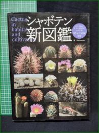 【シャボテン新図鑑　Shabomaniac!著】日本文芸者