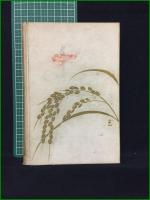【穂積歌子 禾惠會蔵版  蘆屋蘆村】岩波書店