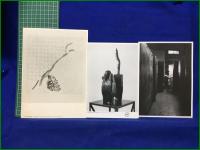 【若林奮　府中市美術館 彫刻ガイド冊子／美術館使用済み入場券（２枚）・目録（1枚）／アキライケダ ギャラリー1992年－1993年 案内状（計6通）】