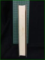 【犬猫戯画 卓川玄弥】そうぶん社