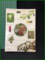 【草木染 染料植物図鑑　山崎青樹 著】美術出版