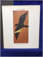 【よだかの星　宮本賢治 作・中村道雄 絵】偕成社