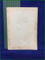 【台本】【実録 おんな鑑別所】日活カラー作品 脚本:桃井章, 小原宏裕 監督:小原宏裕