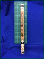 【名作挿絵全集 第9巻】平凡社