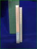 【新しい時代の針治療 パルス刺激針療法  沢津川正一】自然社