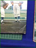 【ピッチング教室 別所毅彦/バッティング教室 千葉茂】鶴書房