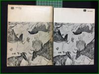 【映像 人間とイメージ 岡田晋】美術出版社