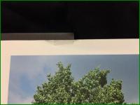 【庭とエスキース 奥山淳志】奥山淳志/Sakura Studio