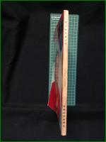 【サンケイカメラ 1959年4月増大号 特集 関西写壇レポート・舞子さん 渡辺雄吉】産業経済新聞社