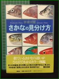 【詳細図鑑 さかなの見分け方】講談社
