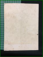 【蜘蛛学雑誌】【ACTA ARACHNOLOGICA Vol.11 Nos.3/4 [1949]】東亜蜘蛛学会